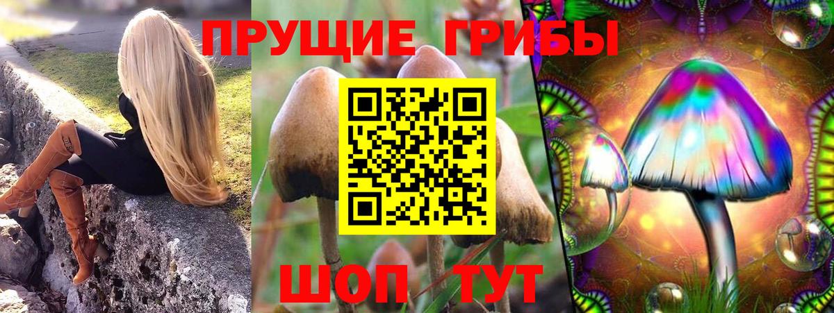 Псилоцибиновые грибы Magic Shrooms Ялуторовск