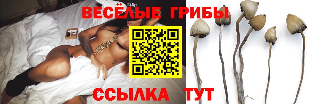 Ялуторовск  Галлюциногенные грибы GOLDEN TEACHER  Вход с VPN  Галлюциногенные грибы Psilocybine cubensis 